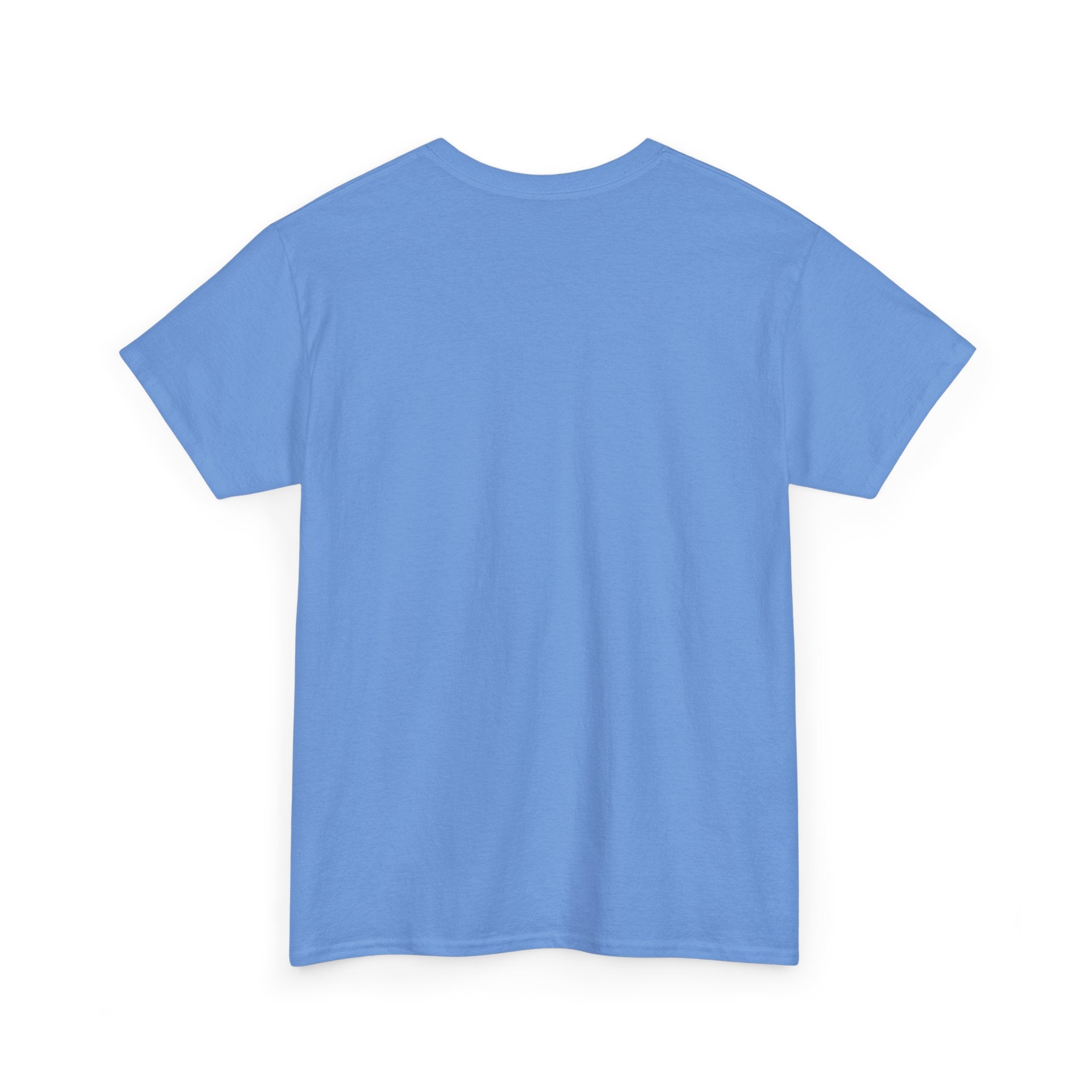 Funny Laundry Quote Tee, Laundry T-Shirt