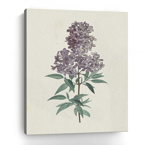 20" Singular Purple Blossom Branch Canvas Wall Art-2