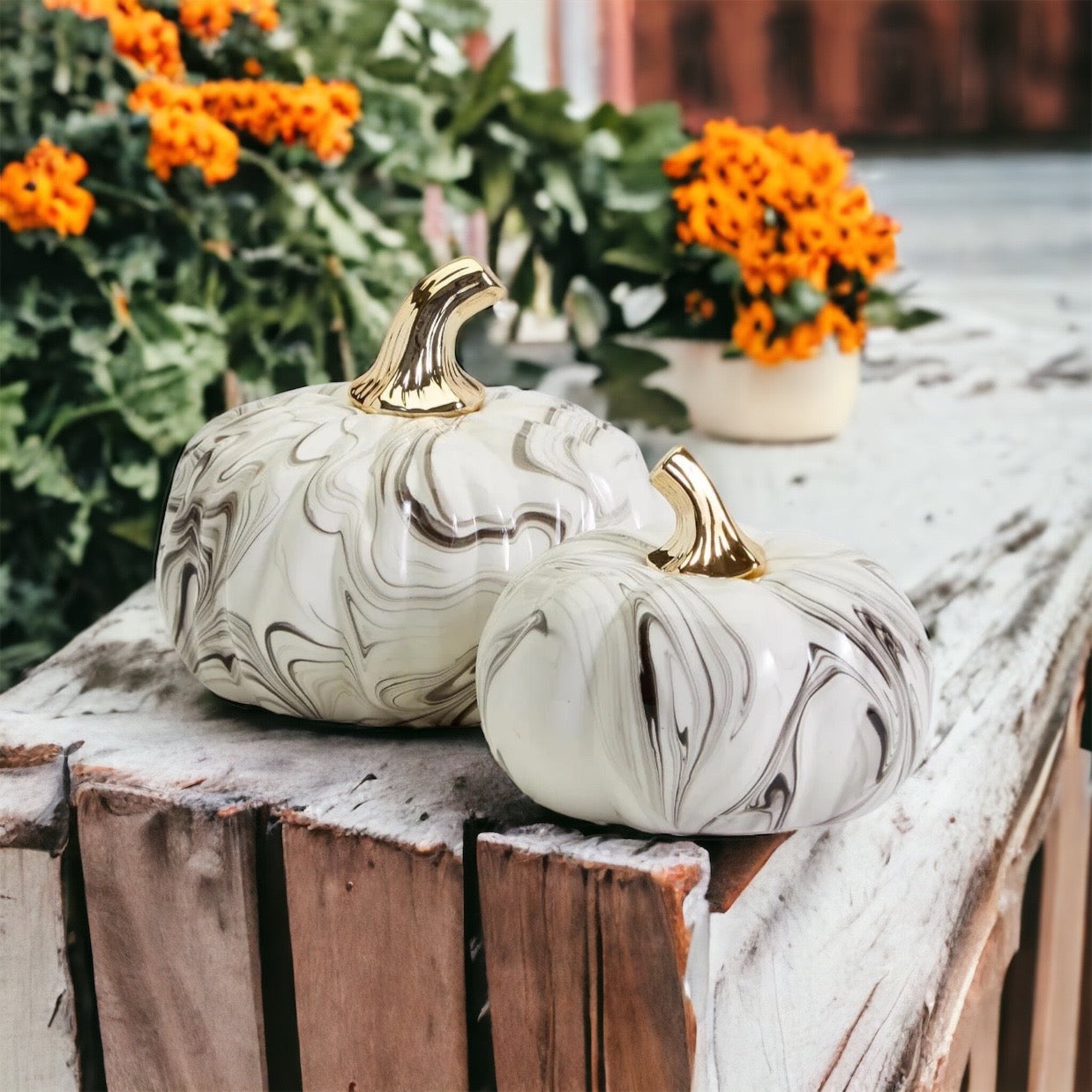 Martha Black Pumpkin-3