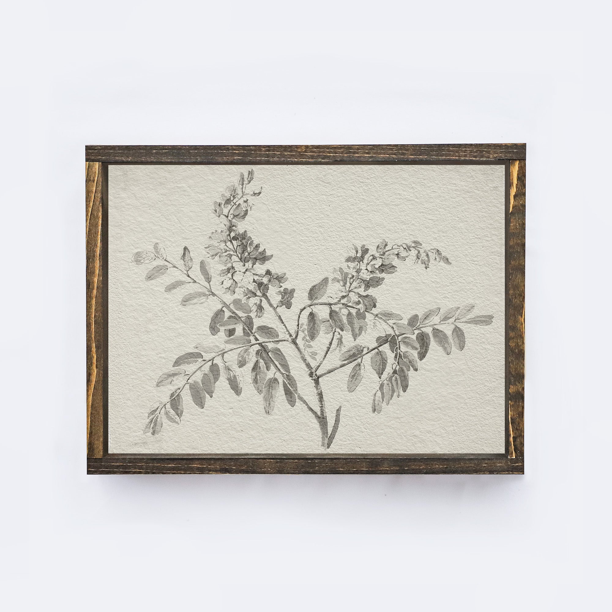 Vintage Botanical Watercolour Painting A75-2