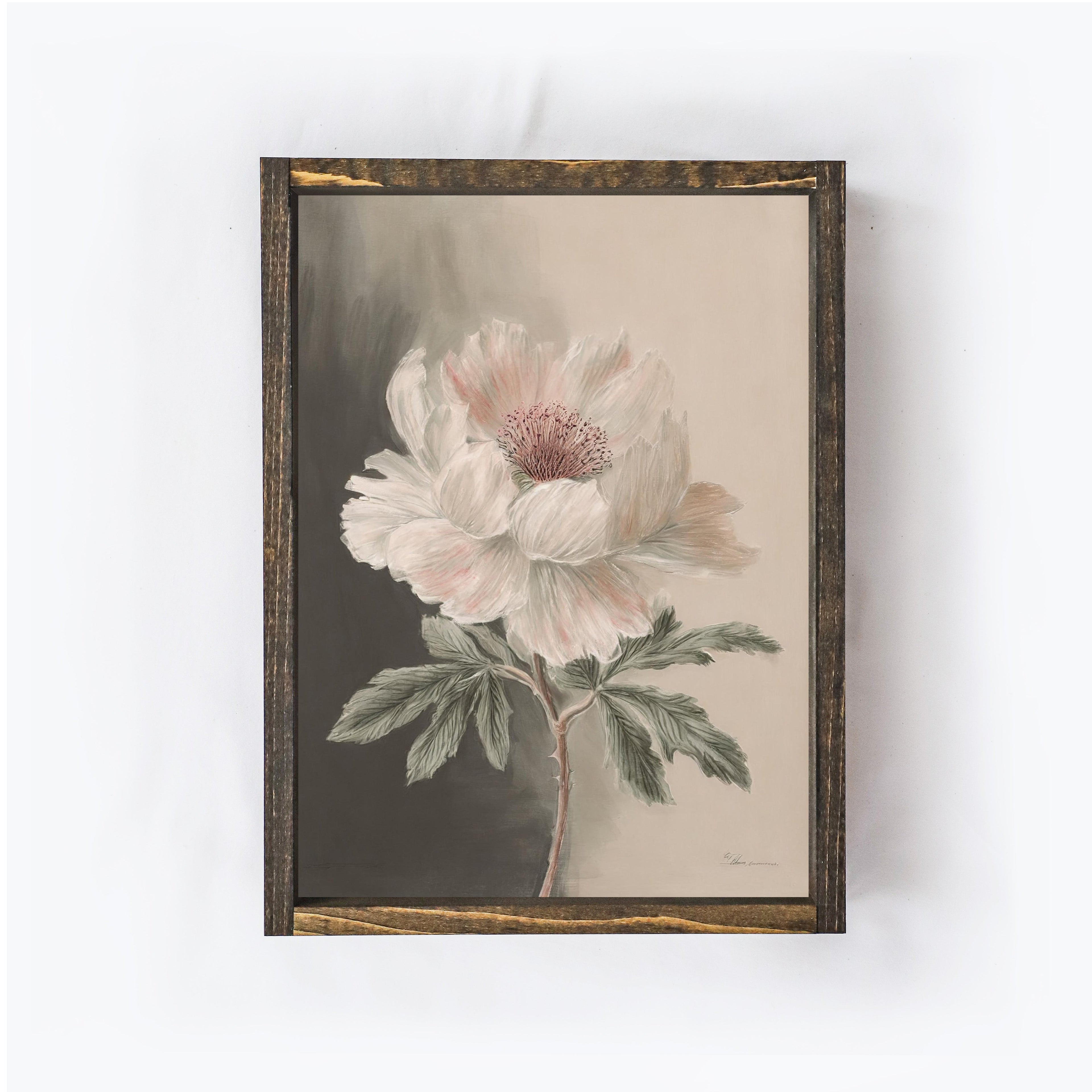 Vintage Peony Painting A14-2