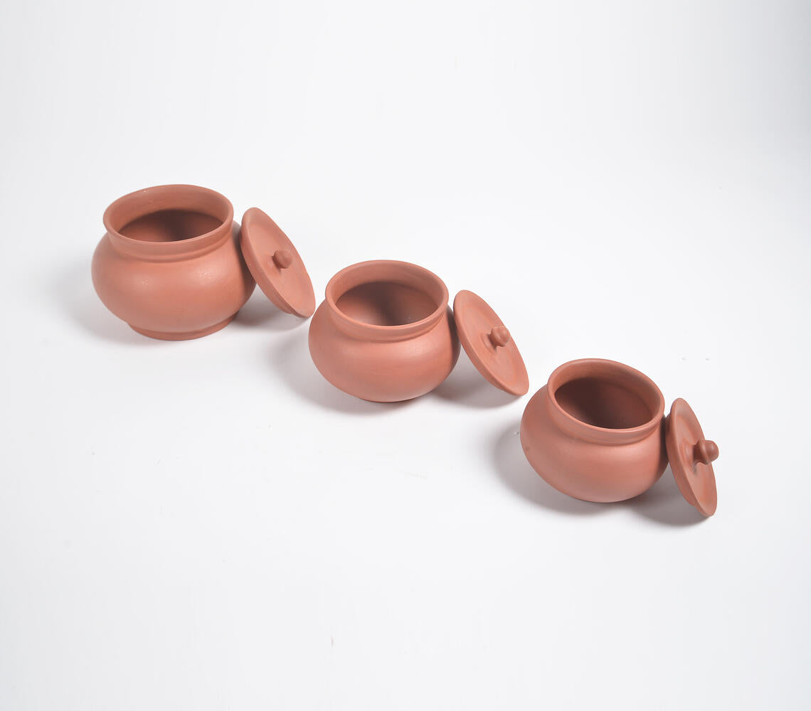 Terracotta Pottery Classic Hotpots with Lids (Set of 3)-2