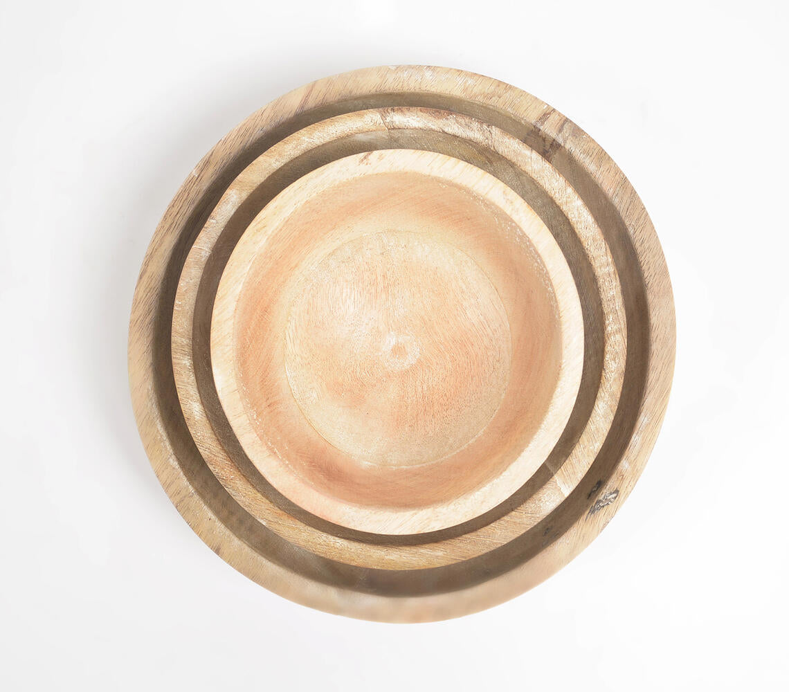 Burnt & Distressed White Wooden Bowls (Set of 3)-3