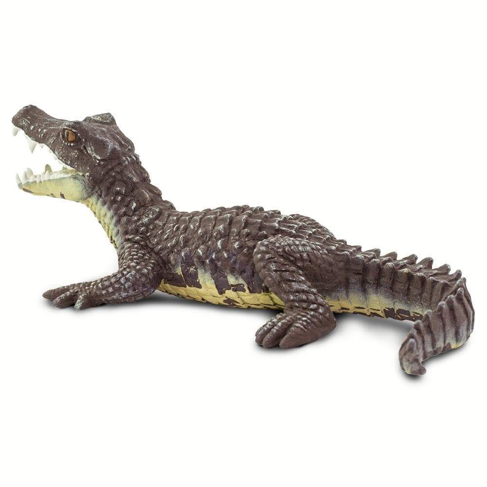 Caiman Toy-4