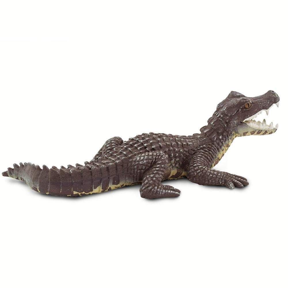 Caiman Toy-2