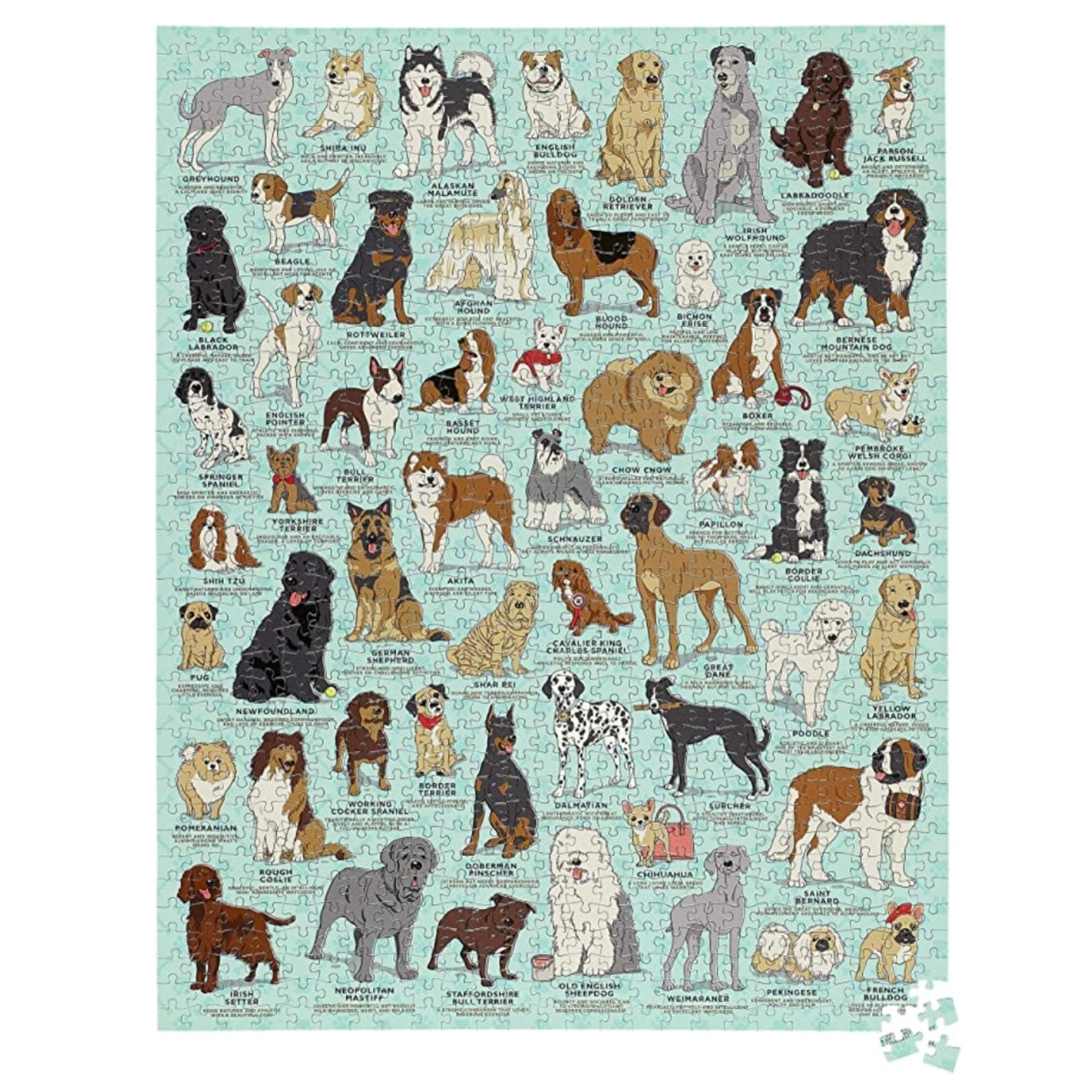 Dog Lover&