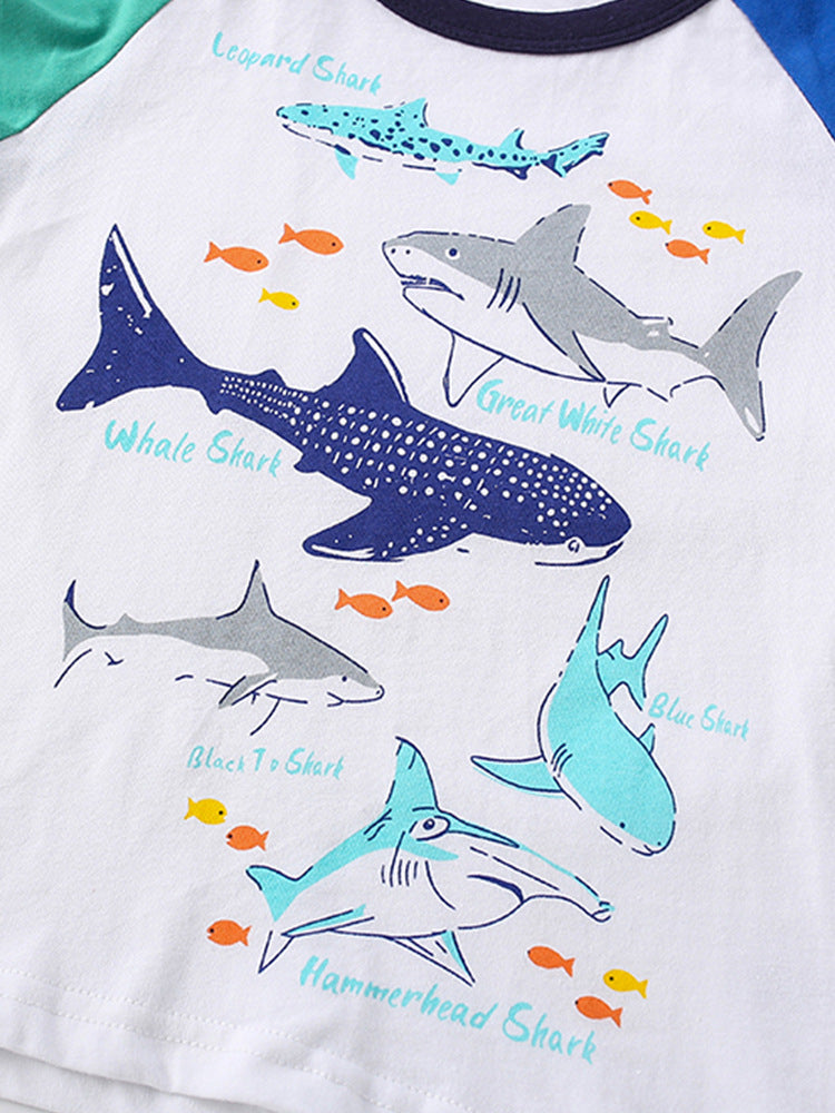 Summer Baby Kids Boys Sharks Cartoon Pattern T-Shirt And Blue Shorts Clothing Set-2