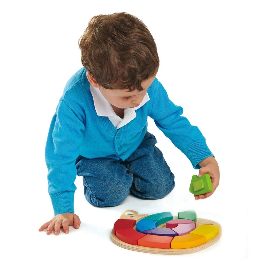 Tender Leaf Toys Color Me Happy-2