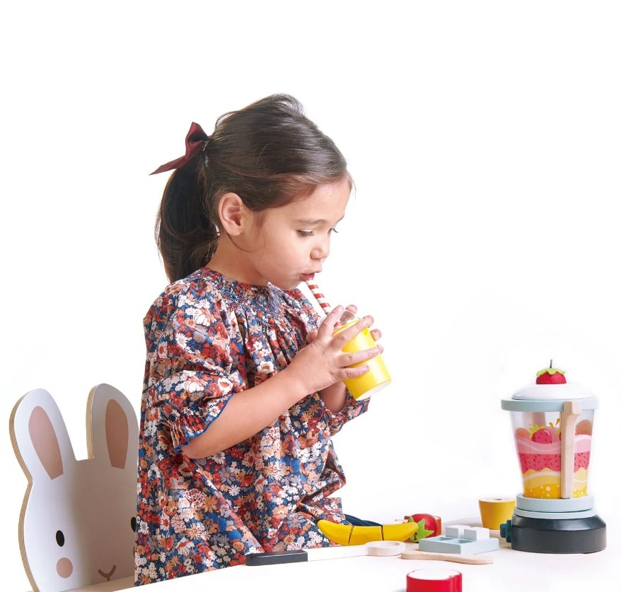 Tender Leaf Toys Fruity Blender-2