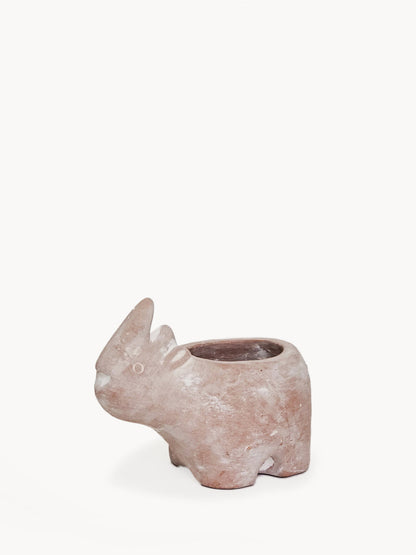 Terracotta Pot - Rhino-0