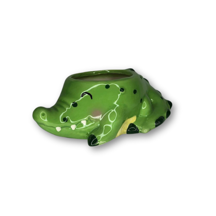 Alligator Flower Pot-0