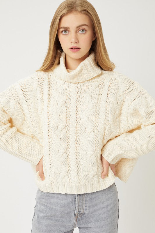 Turtle Neck Cable Knit Sweater