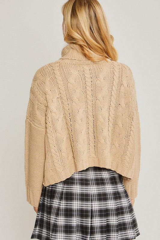 Turtle Neck Cable Knit Sweater