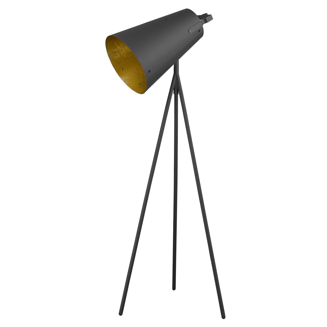 Faza 1-Light Matte Black Floor Lamp-0