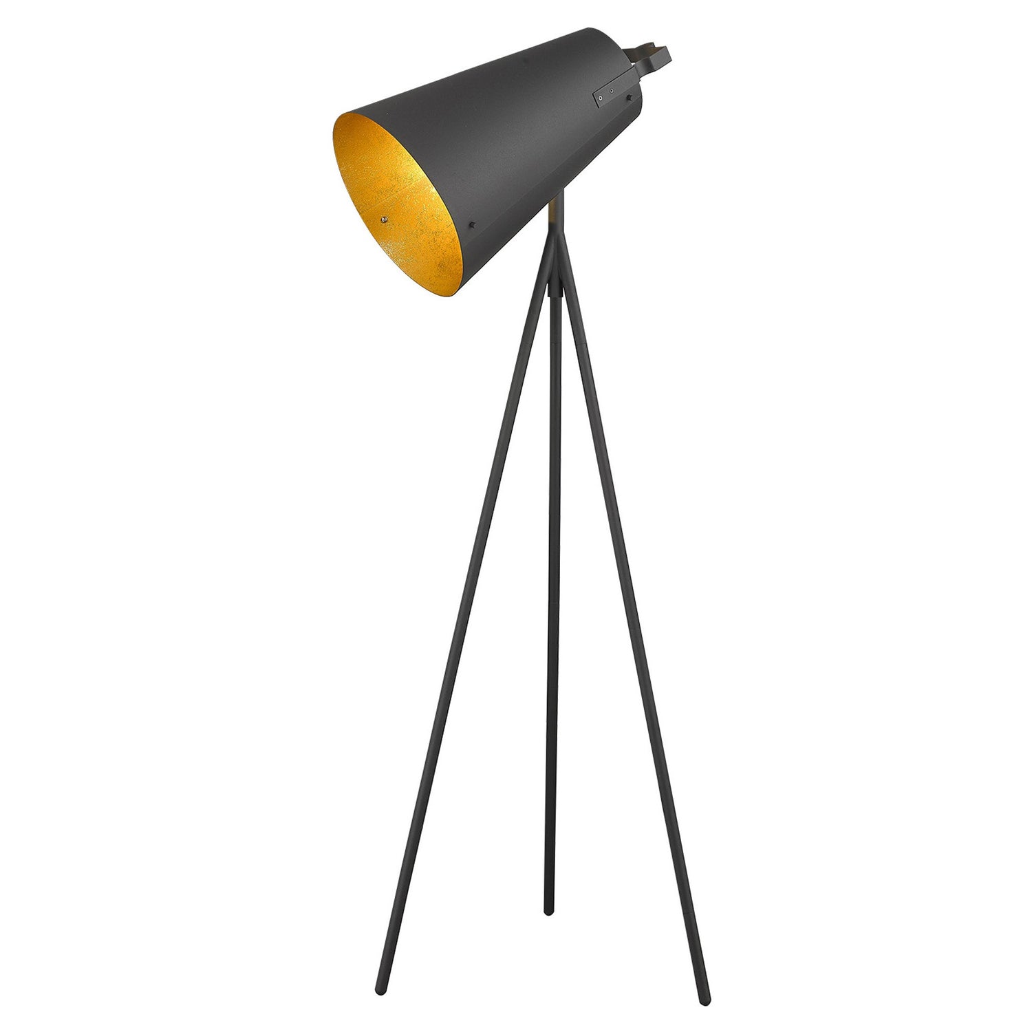 Faza 1-Light Matte Black Floor Lamp-1