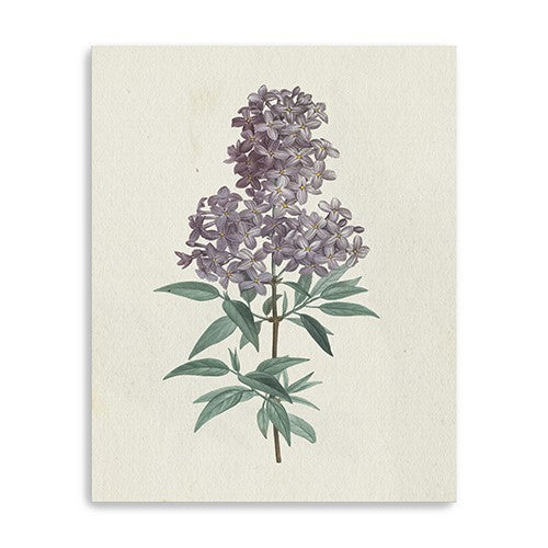 20&quot; Singular Purple Blossom Branch Canvas Wall Art-0