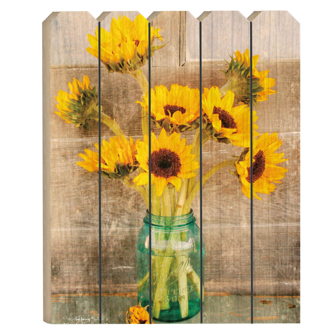 Country Sunflowers Unframed Print Wall Art-0