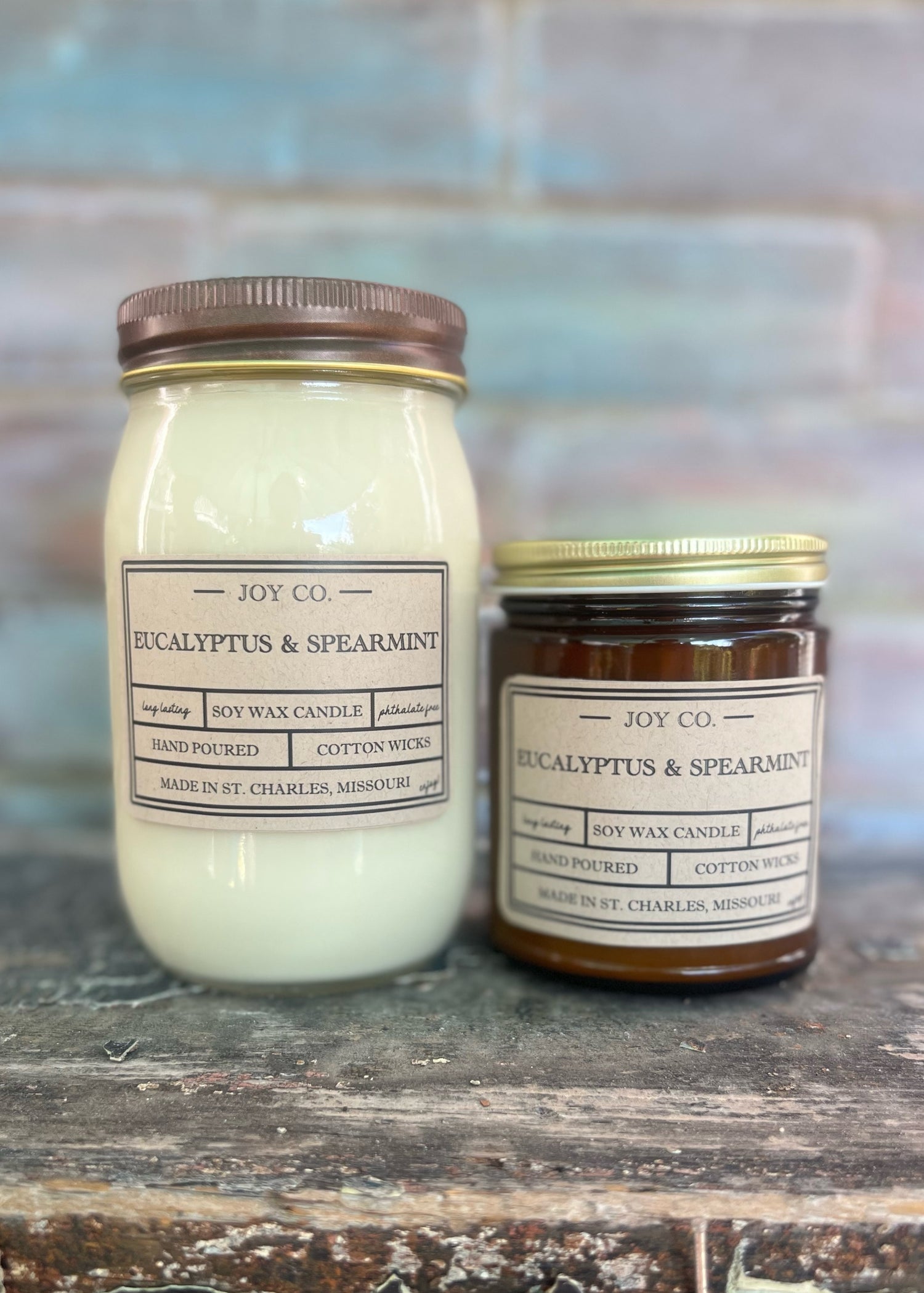 Eucalyptus &amp; Spearmint Candle