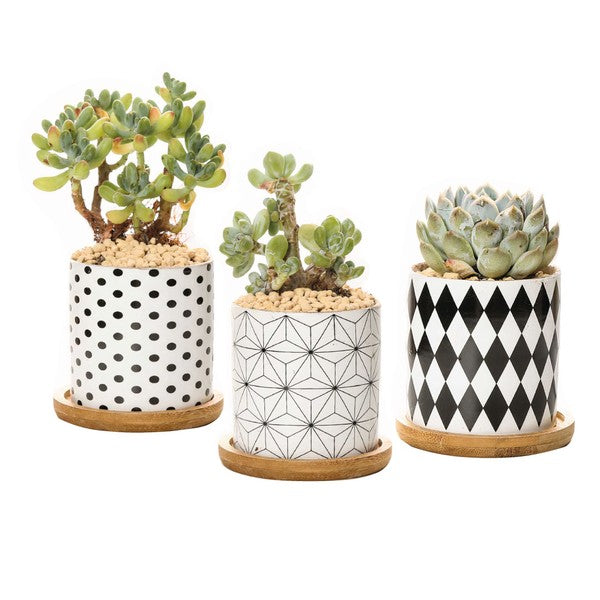 B&amp;W Planters Set of 3