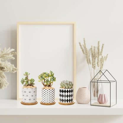 B&amp;W Planters Set of 3