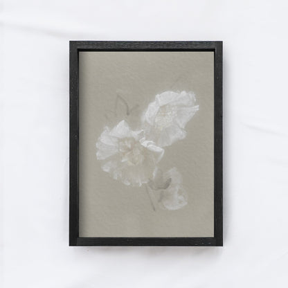 Vintage Print Framed | Flower Sketch A130-1