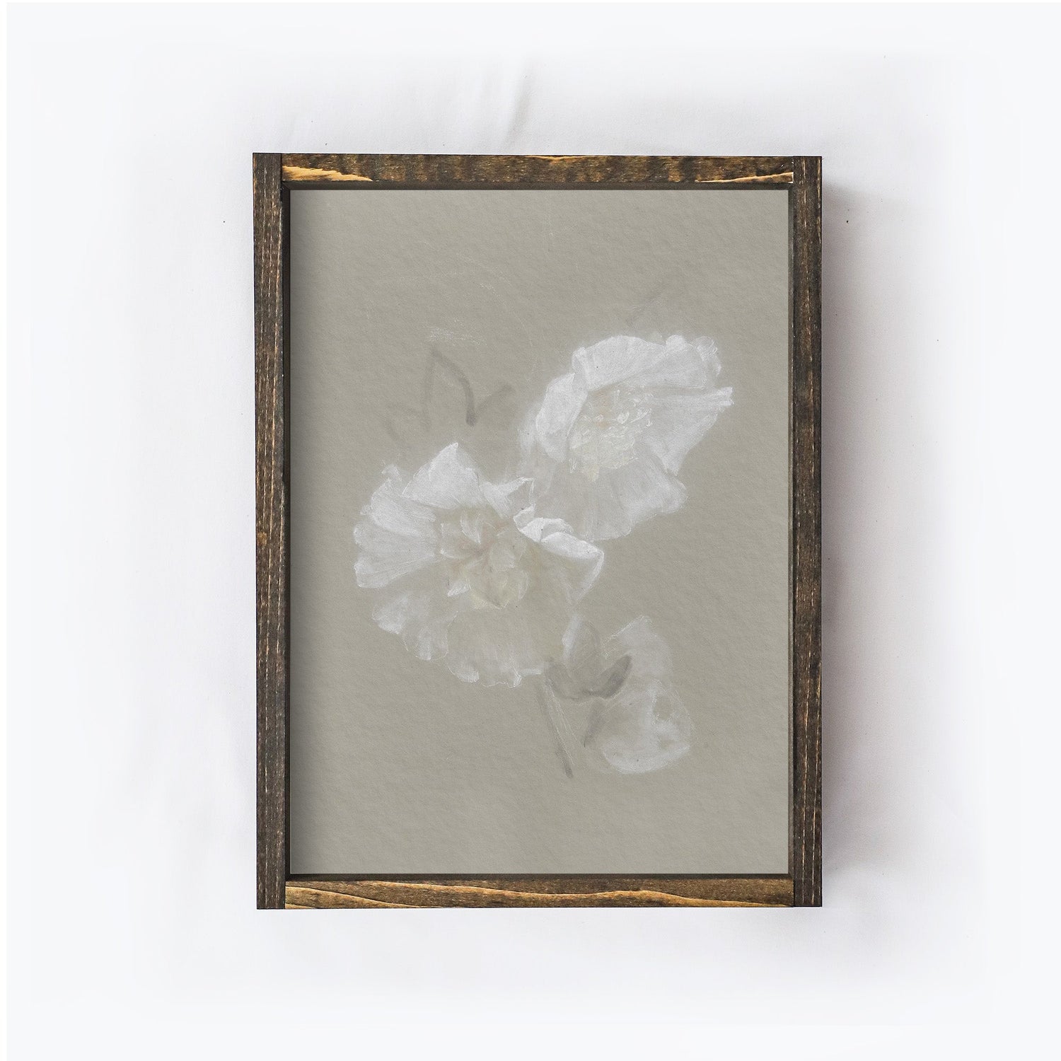 Vintage Print Framed | Flower Sketch A130-2