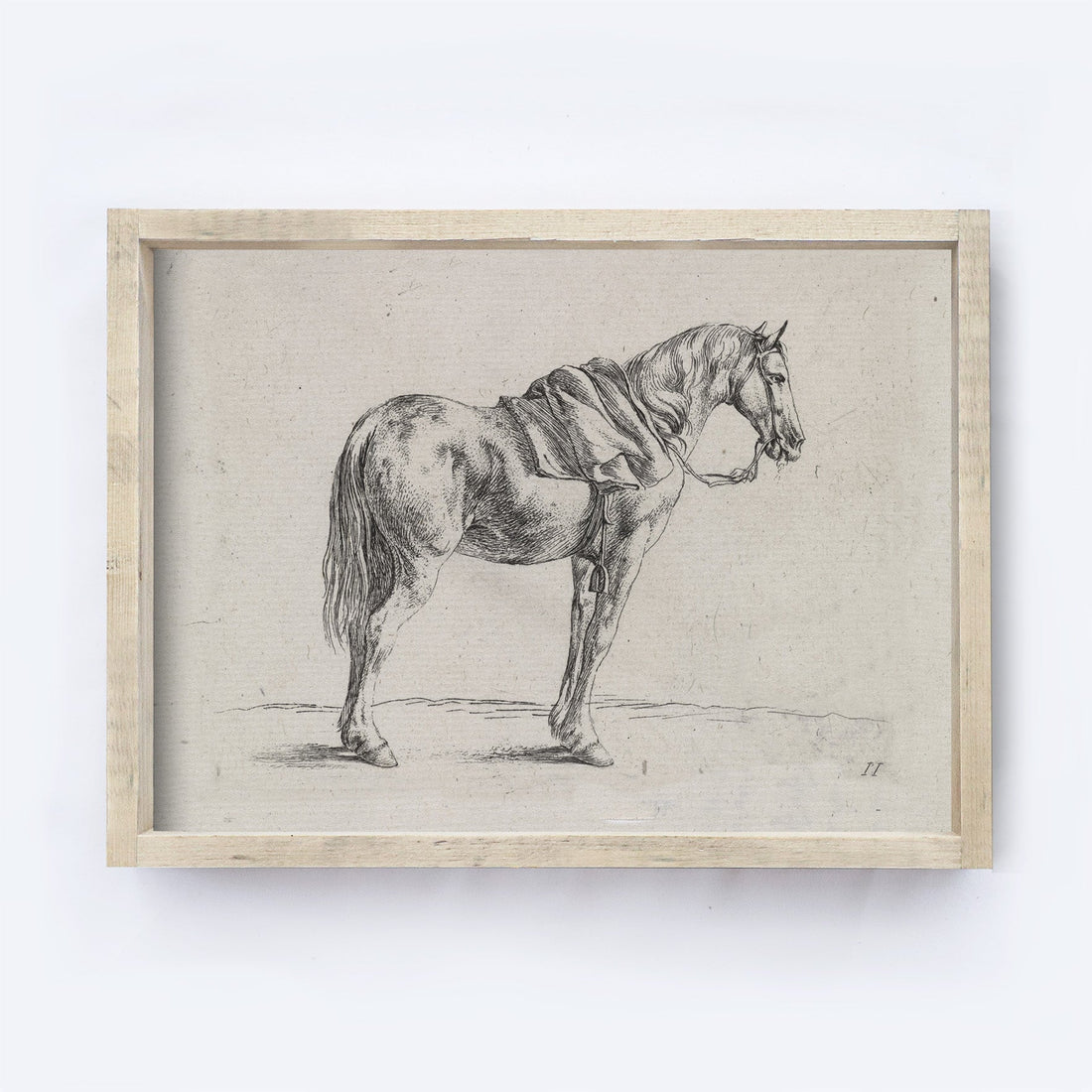 Vintage Print Framed | Horse Sktch A136-0