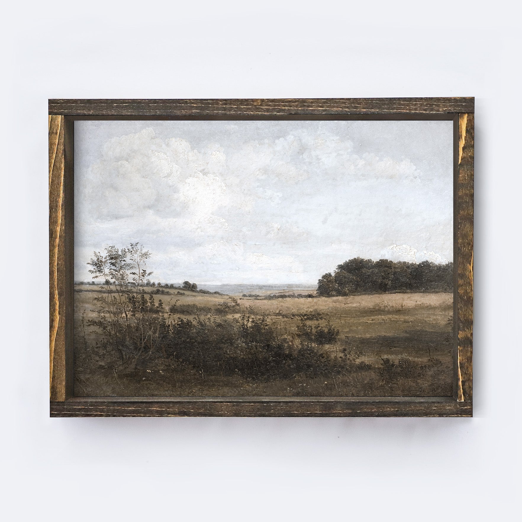 Vintage Print Framed | Vintage Landscape A140-2