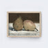 Vintage Still Life Painting Framed | Vintage Pears A192-0