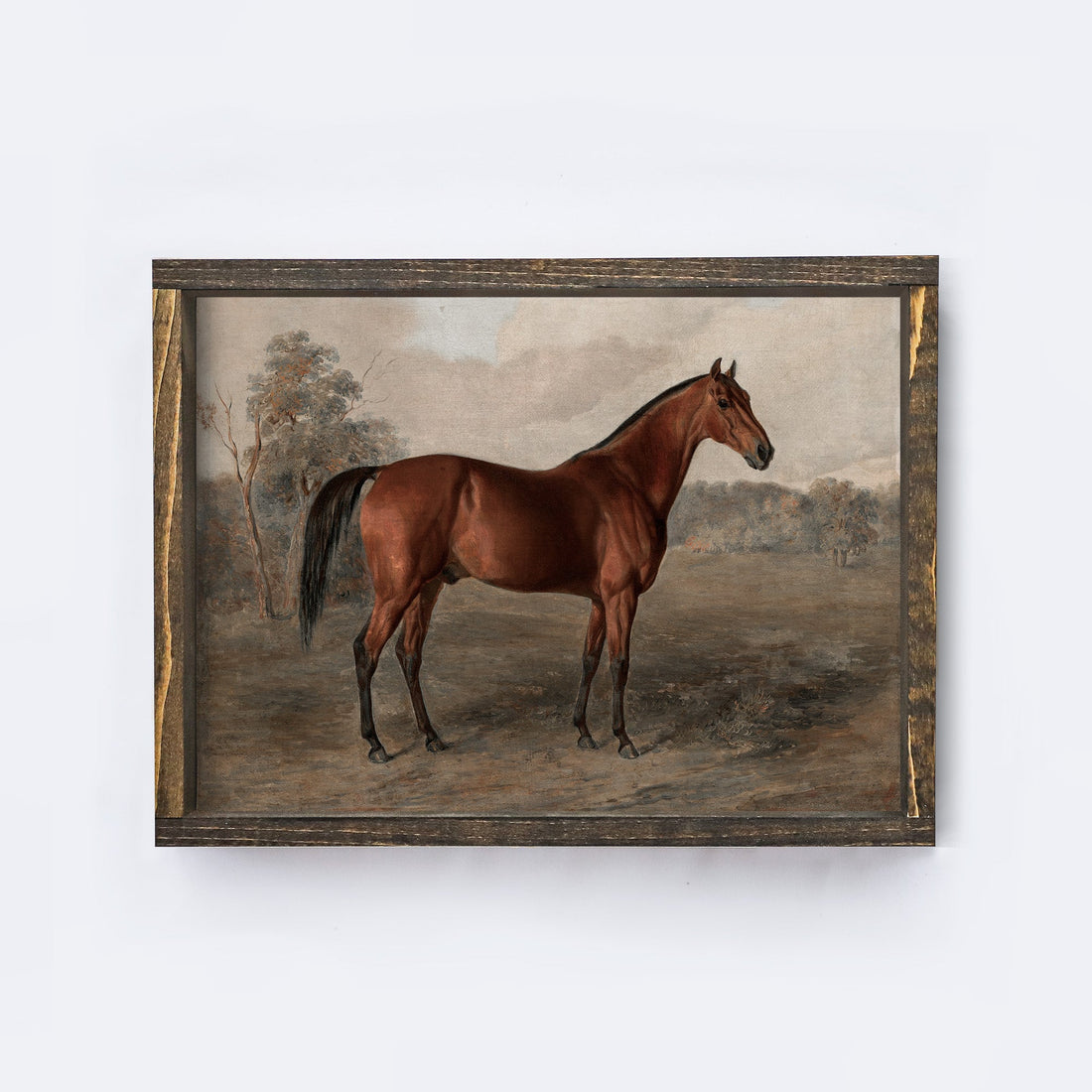 Vintage Horse Print Framed | Equestrian Art A195-1