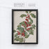 Vintage Christmas Holly | A250-1