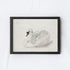 Vintage Art Print | White Swan Watercolour A98-2