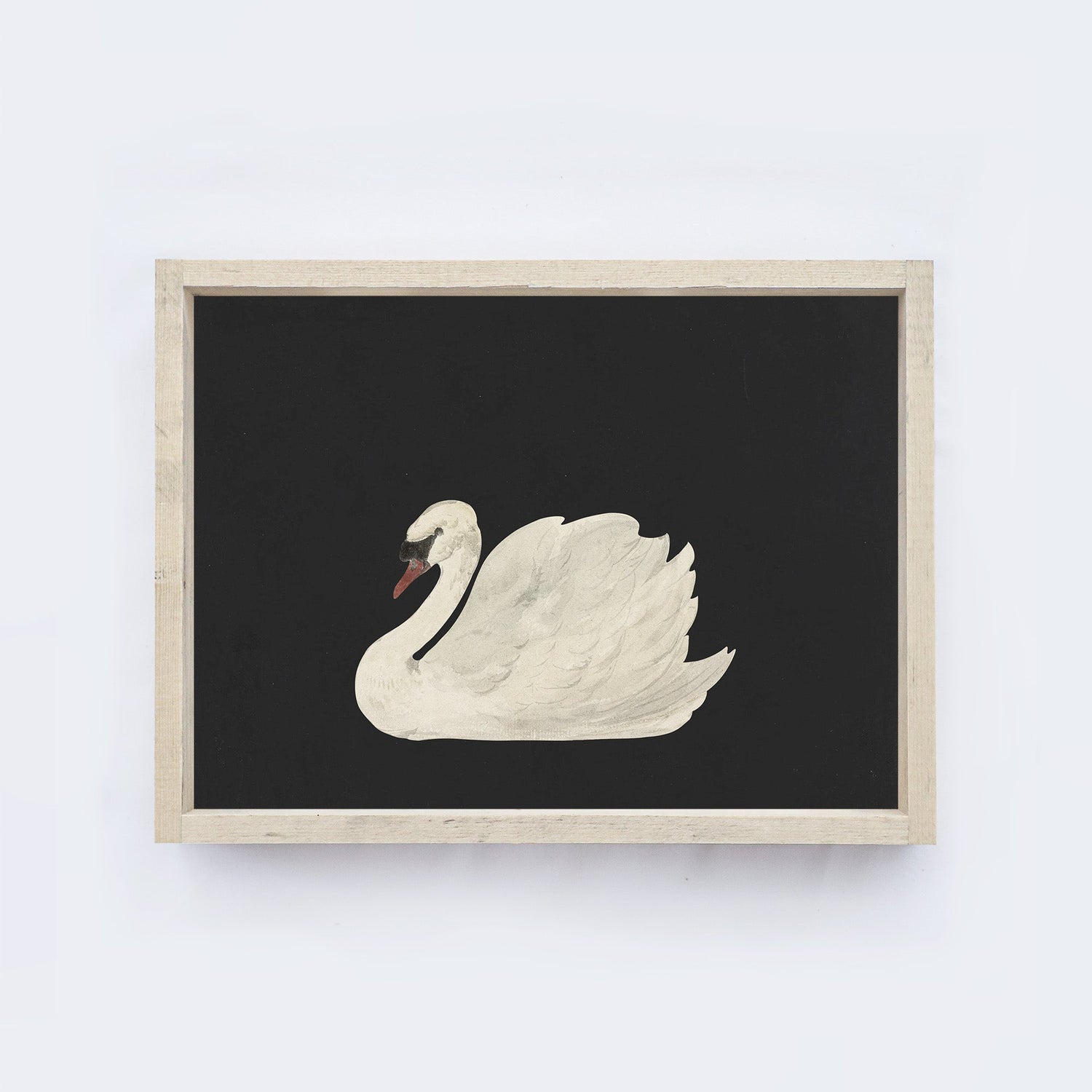 Antique Swan Painting A36-1