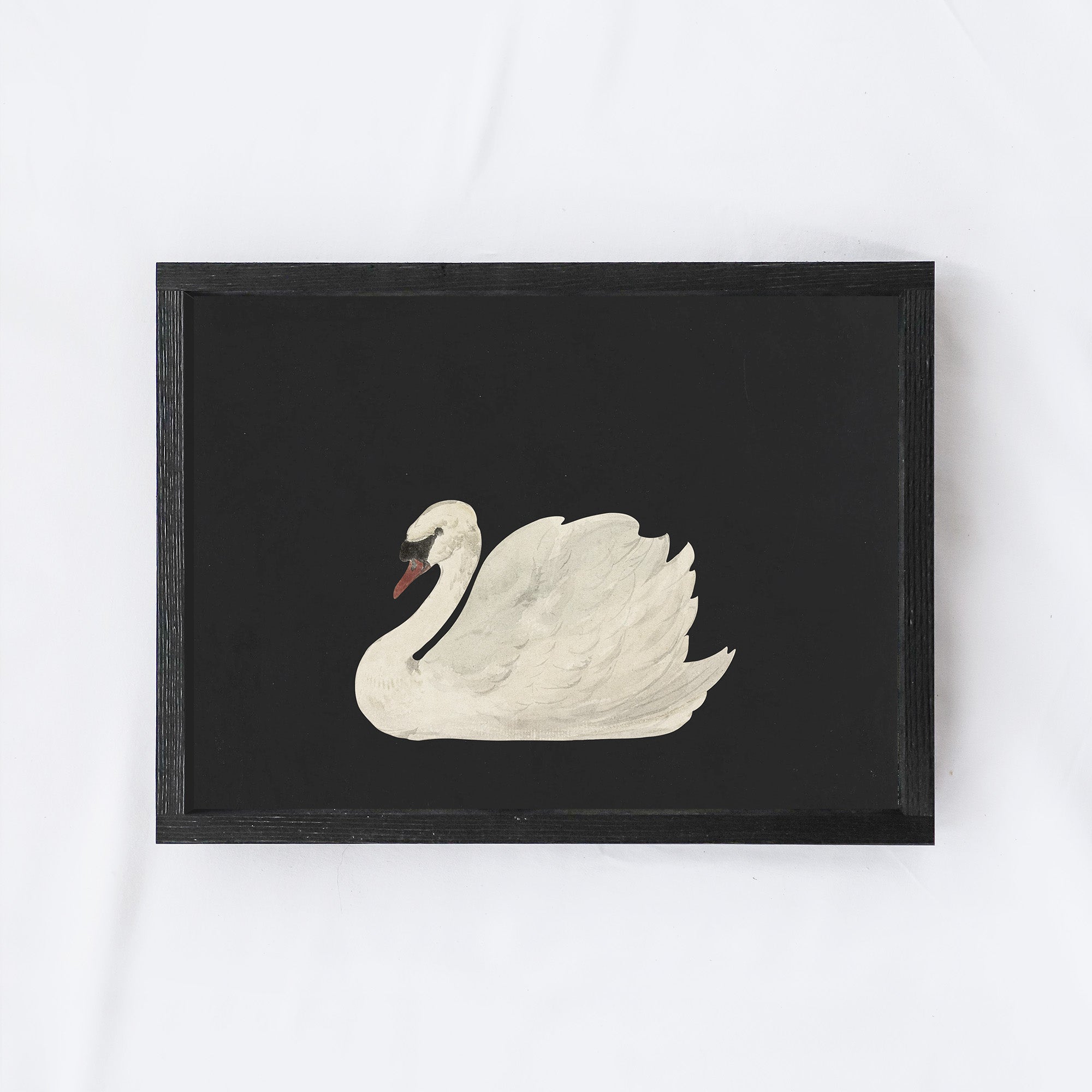 Antique Swan Painting A36-3