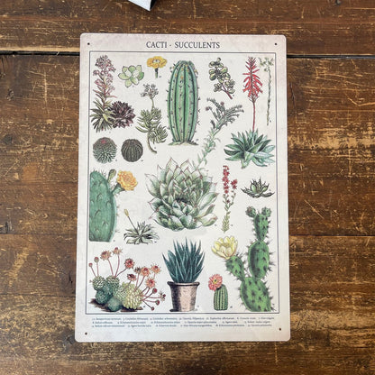 Vintage Metal Sign - Retro Cacti &amp; Succulents Identification Picture-2