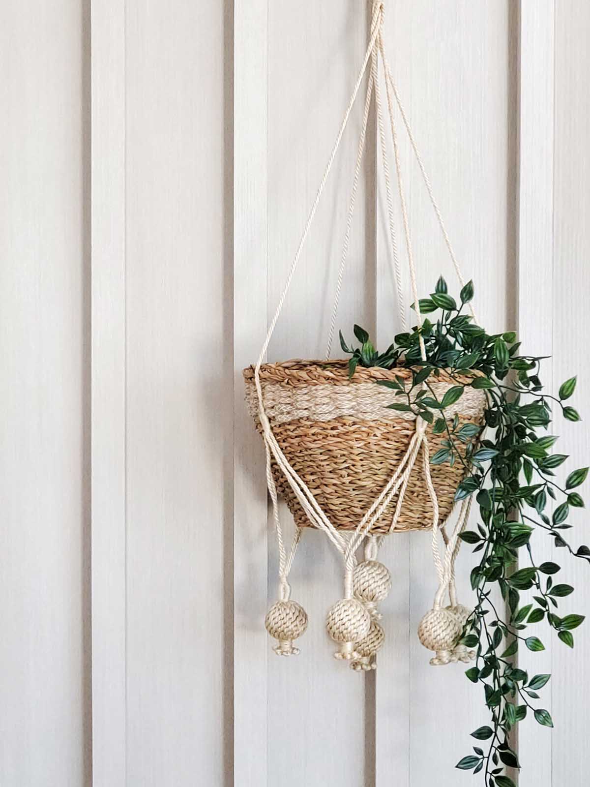 Plant Hanger - Kadam-1