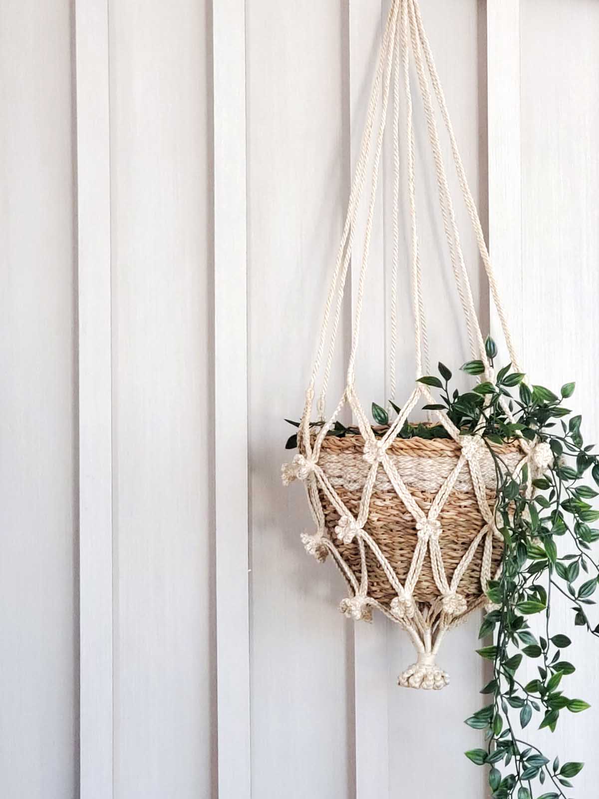 Plant Hanger - Shuly-1