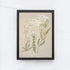 Vintage Flower Drawing A57-1