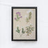 Vintage Flower Drawing A59-1