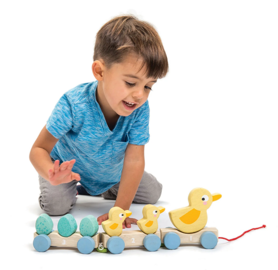 Tender Leaf Toys Pull Along Ducks-1