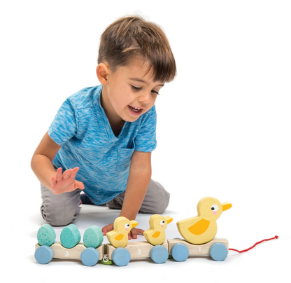 Tender Leaf Toys Pull Along Ducks-1
