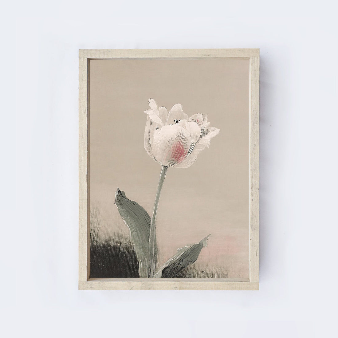Vintage Tulip 1 A09-0