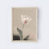 Vintage Tulip 1 A09-0