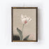 Vintage Tulip 1 A09-1