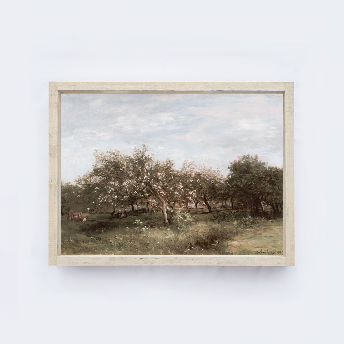 Vintage Apple Orchards A25-0