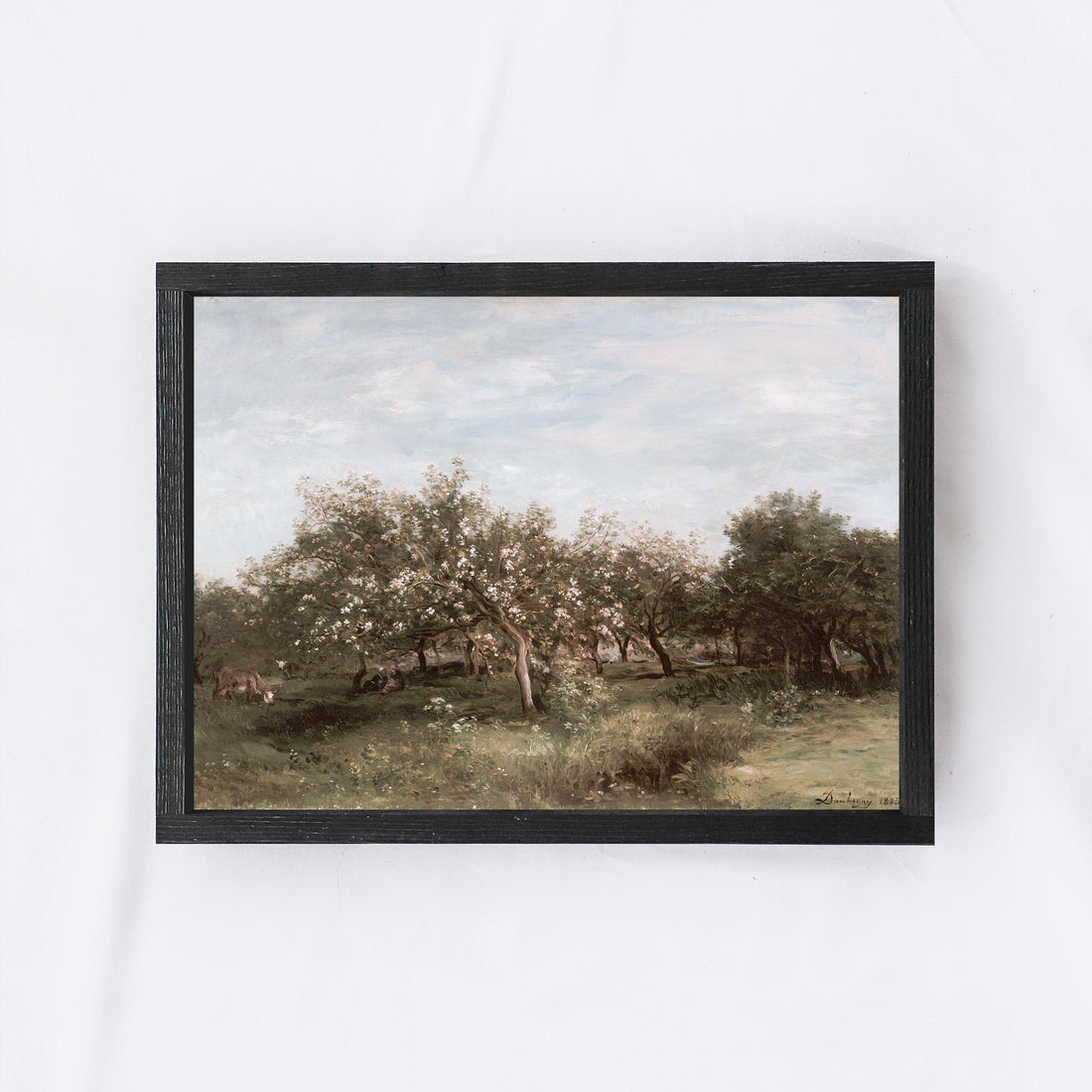 Vintage Apple Orchards A25-1