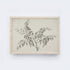 Vintage Botanical Watercolour Painting A75-1