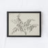Vintage Botanical Watercolour Painting A75-0