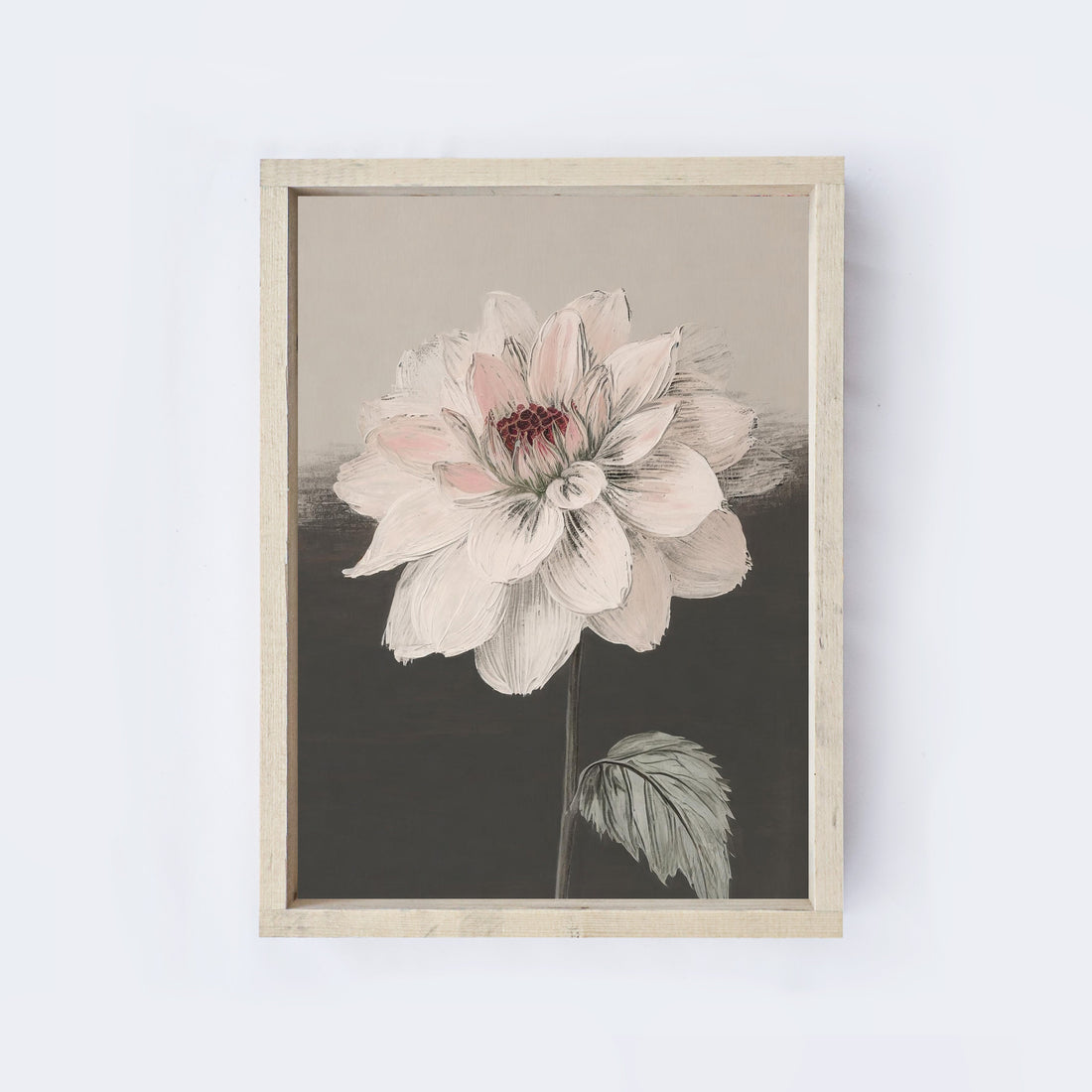 Vintage Dahlia A13-0