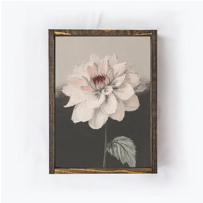Vintage Dahlia A13-2